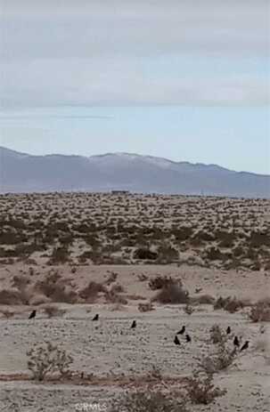 0 Jojoba Drive, 29 Palms, CA 92277