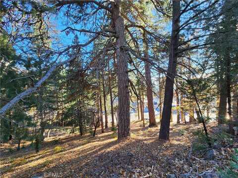 0 Lovers Lane, Rimforest, CA 92378