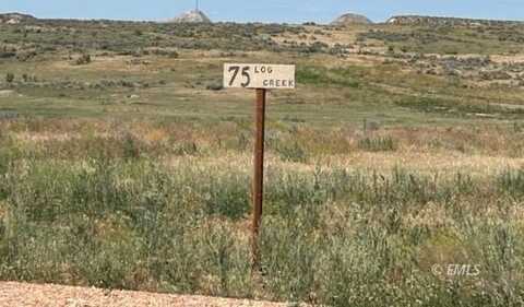 75 Log Creek Road, Miles City, MT 59301