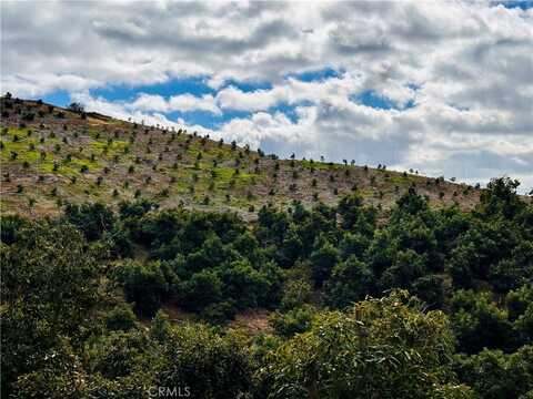 39725 Jones Road, Fallbrook, CA 92028