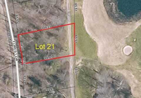 Lot 21 Forest DR, Mackinac Island, MI 49757