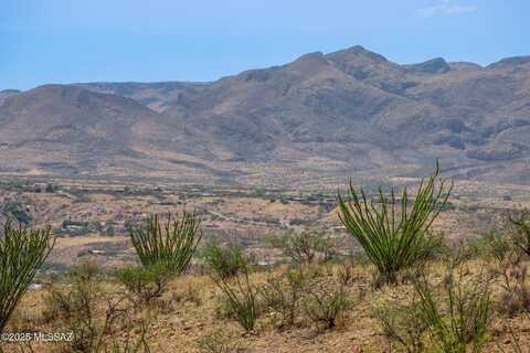 1348 Avenida Gutierrez 62, Rio Rico, AZ 85648