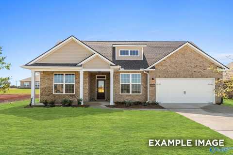 102 Lucy Lynn Boulevard, Meridianville, AL 35759