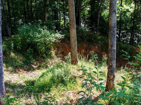 9999 Kimberly Lane Lot 9, Franklin, NC 28734