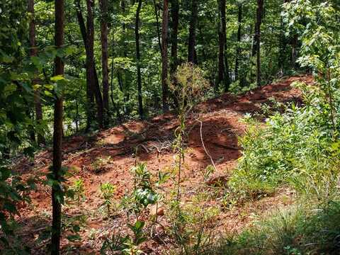 9999 Kimberly Lane Lot 18, Franklin, NC 28734