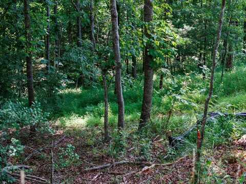 9999 Kimberly Lane Lot 10, Franklin, NC 28734