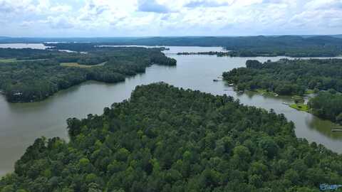 Hwy 9 County Road 92, Cedar Bluff, AL 35959