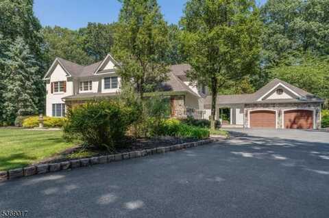 16 Overlook Rd, Readington, NJ 08889