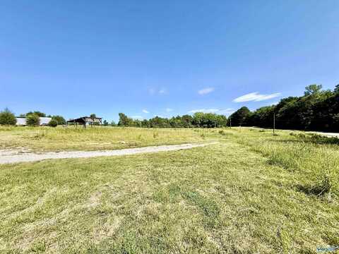 6.63 Acres Highway 117, Stevenson, AL 35772