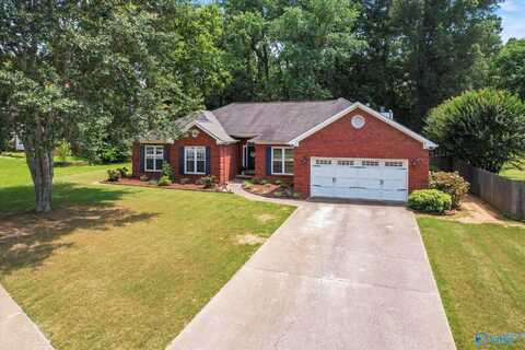 132 Pebblebrook Circle, Madison, AL 35758