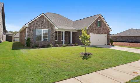 236 White Horse Way, Toney, AL 35773