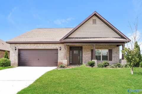227 Balota Street, Meridianville, AL 35759