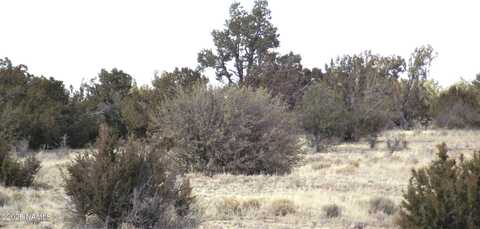 1255 W Half Hitch Road, Williams, AZ 86046