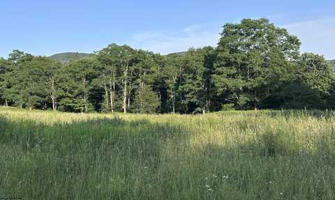 Lot 1003 Sunset Mountain Village, Slaty Fork, WV 26291