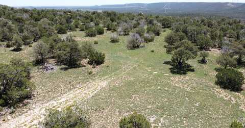 Swayback Trail lot: 16, Corona, NM 88318