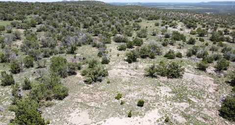 Swayback Trail lot: 17, Corona, NM 88318