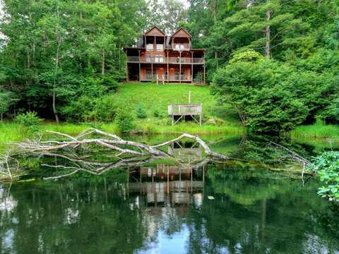 160 Mountain Field Drive, Blue Ridge, GA 30513