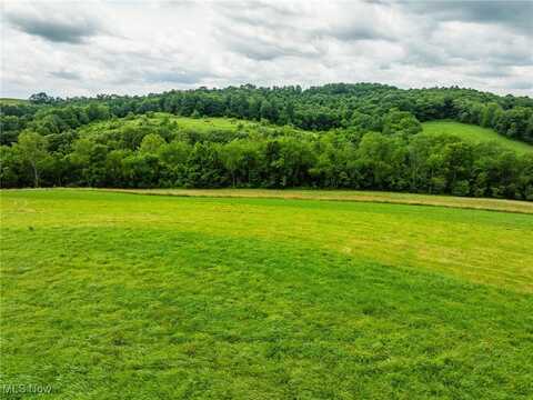 Township Road 219, Fresno, OH 43824
