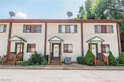 2262 Pine Top Court unit: 31, Akron, OH 44319