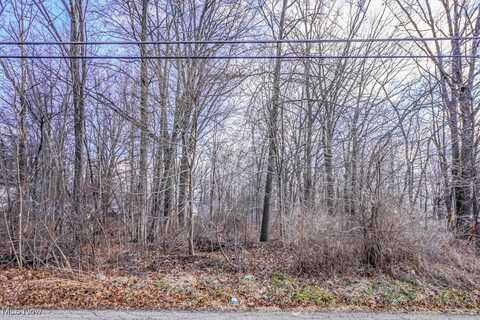 Klinger Avenue, Alliance, OH 44601