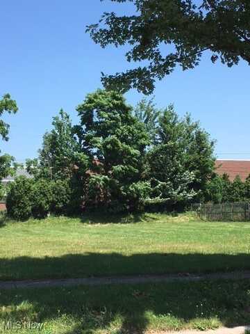 V/L Case Avenue, Lyndhurst, OH 44124