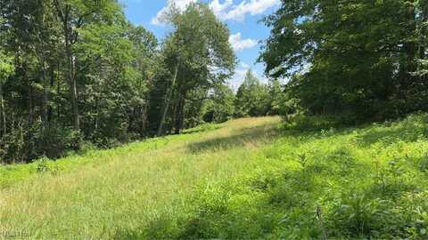 Point Lookout Road, Stockport, OH 43787