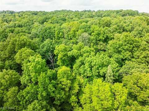 6991 Township Road 555, Holmesville, OH 44633