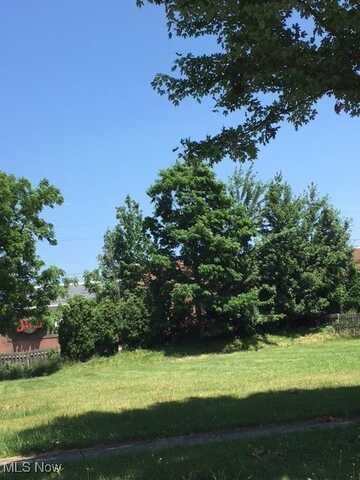 V/L Case (corner lot) Avenue, Lyndhurst, OH 44124