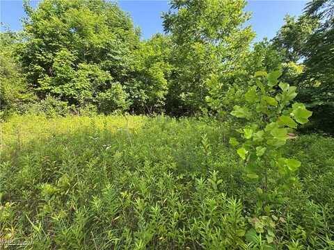 10170 Pierson Lane, Mcconnelsville, OH 43756