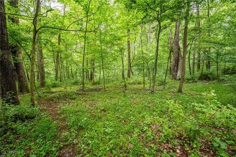 6991 Township Road 555, Holmesville, OH 44633