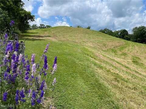 Cain Ridge Road, Clarington, OH 43915