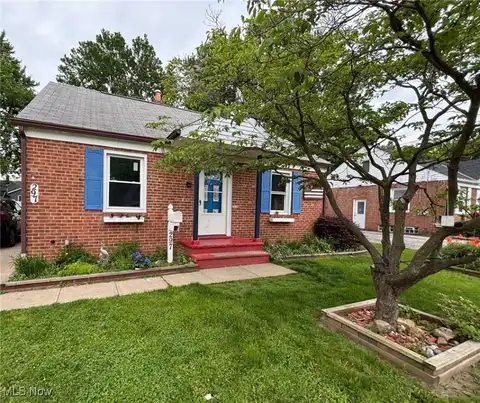 297 Chestnut Street, Painesville, OH 44077
