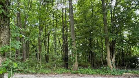 Aston Avenue, Akron, OH 44319