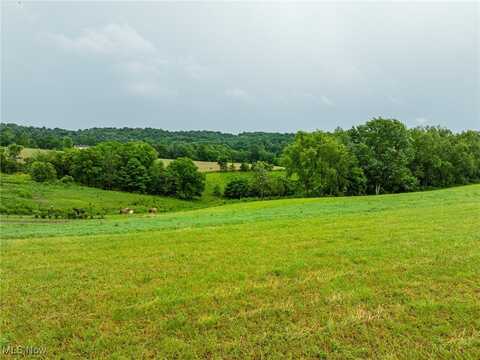 Township Road 219, Fresno, OH 43824