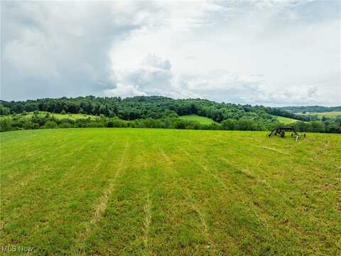 Township Road 219, Fresno, OH 43824