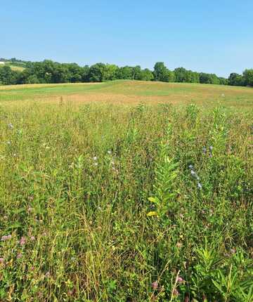 405 Robinson Road, Cynthiana, KY 41031