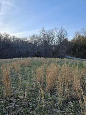 Tract 1 Pleasant Grove Road, Corinth, KY 41010