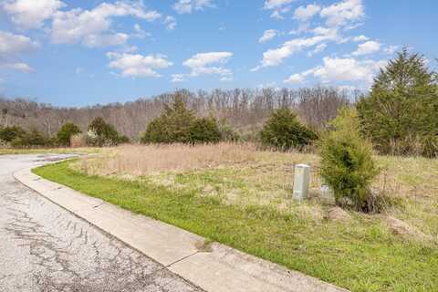 Lot 30 Saddlebrook Lane, Dry Ridge, KY 41035