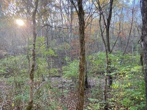 320 Old Carntown Rd., Foster, KY 41043