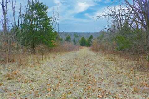 990 Wolfe Road, Falmouth, KY 41040