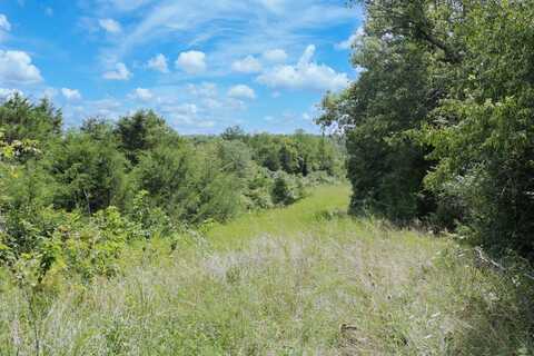 990 Wolfe Road, Falmouth, KY 41040