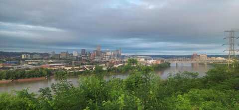 1316 Hill Street, Covington, KY 41016
