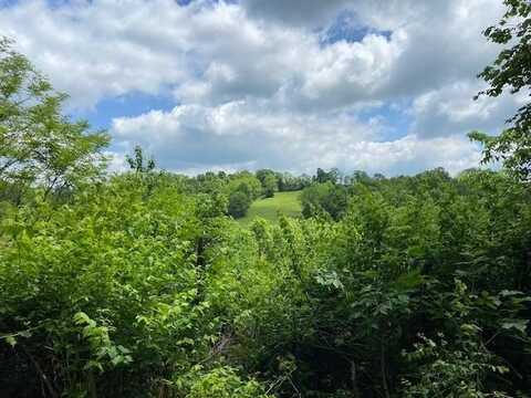 2864 Milford Road, Falmouth, KY 41040