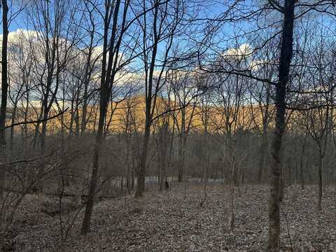 0 Lot #6 Nicholas Ridge Road, Verona, KY 41092