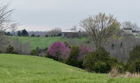 455 Mason Sipple Road, Williamstown, KY 41097