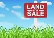 50 Harbour Pointe Drive, Williamstown, KY 41097