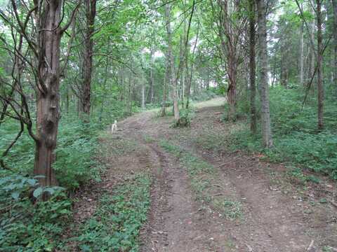 11.5 Acres Osborne Road, Dry Ridge, KY 41035