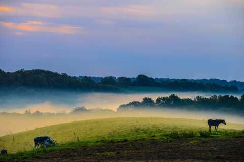 14093 Madison Pike, Morning View, KY 41063