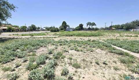 912 N Union Avenue, Roswell, NM 88201