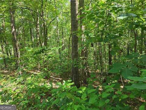 0 Lawson Federal, Ball Ground, GA 30107